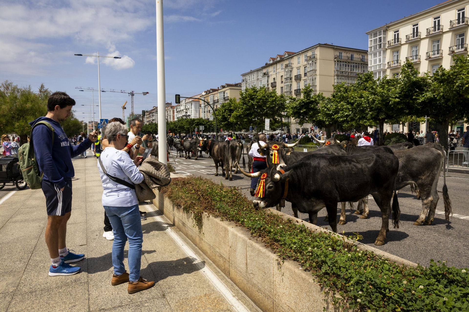 Los curiosos que se han acercado al centro han podido ver a los animales de cerca.