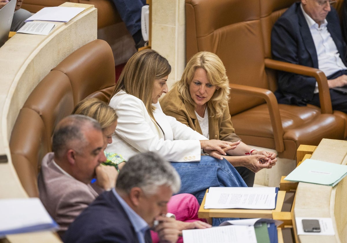El Parlamento da un mes a Buruaga para que concrete la firma de La Pasiega