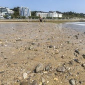 La bajamar en la Segunda de El Sardinero revela miles de piedras a causa de la falta de arena.