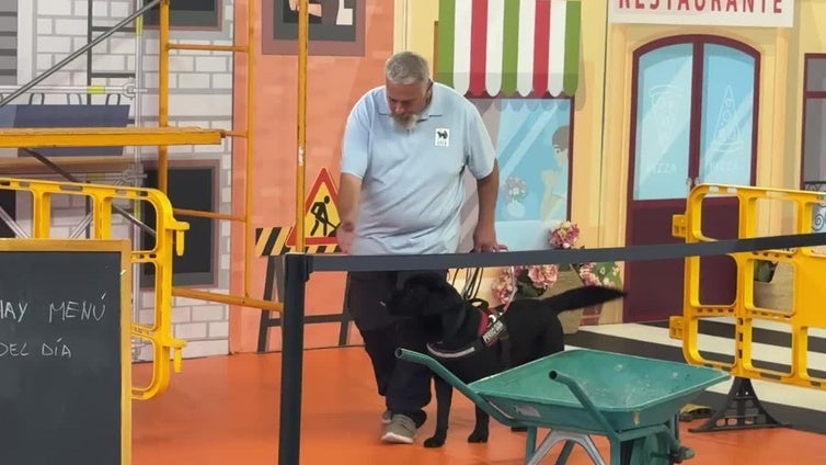 Así se adiestran los perros en la ONCE