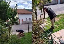 Investigan a un vecino de Castañeda por pegar una brutal paliza a su perro