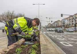 El Ayuntamiento de Santander da un nuevo paso para ratificar la sanción de 65.500 euros a la empresa de Jardines