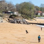 Los lectores de El Diario Montañés eligen Los Peligros como playa para pasear con perros