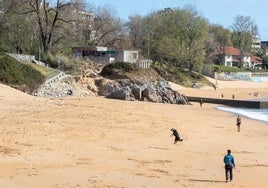 Los lectores de El Diario Montañés eligen Los Peligros como playa para pasear con perros