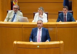 El consejero Media, ayer, durante su intervención en el Senado.