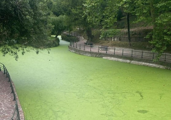 Mataleñas, verde otra vez