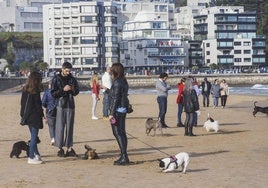 Paseantes con sus perros en La Segunda de El Sardinero.