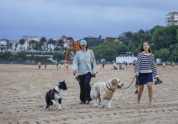 Pipe y Nala, con sus dueñas Paula y Cristina, estrenaron ayer la Segunda playa de El Sardinero como playa canina.
