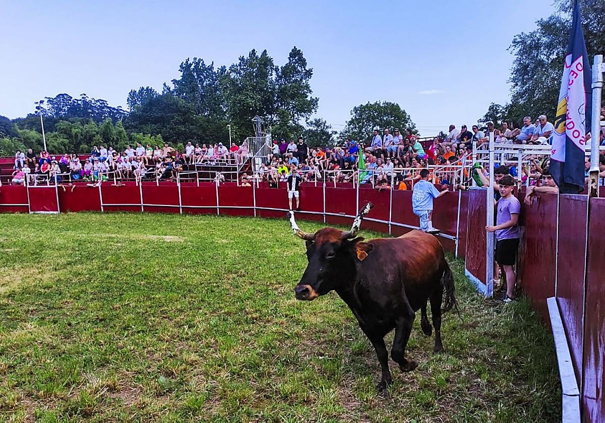 Las vaquillas han llenado todas las localidades en la plaza portátil del Ferial.