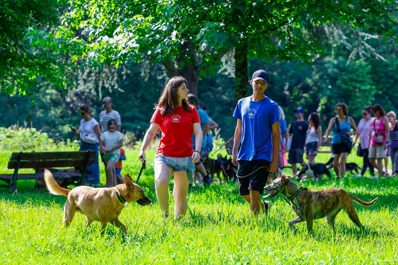 La jornada convocó a decenas de propietarios y personas sensibilizadas con el bienestar animal.