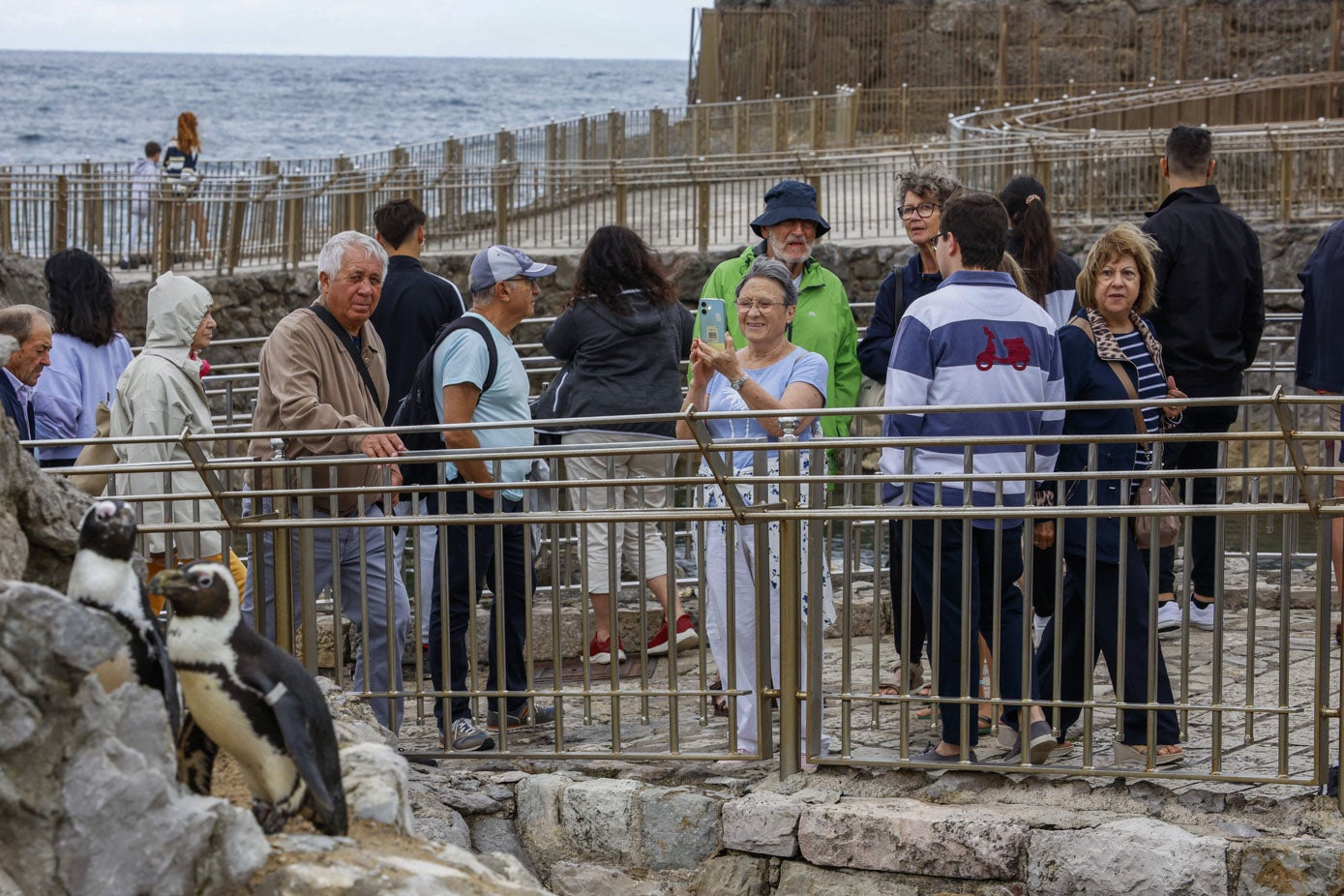 Los pinguinos atrajeron también la atención.