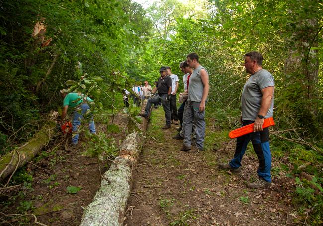 Los vecinos subieron al monte Canales a elegir los mejores árboles.