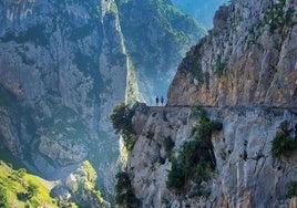 Si eres fan de hacer rutas en los Picos de Europa, ten en cuenta estos consejos