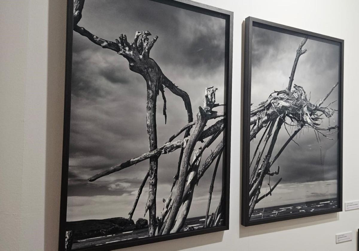 Imagen de Galeria