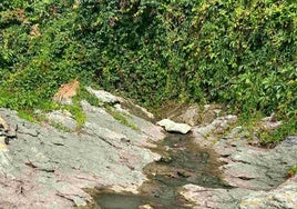 En la imagen se aprecian los efectos del vertido en la desembocadura de la canal de San Juan.