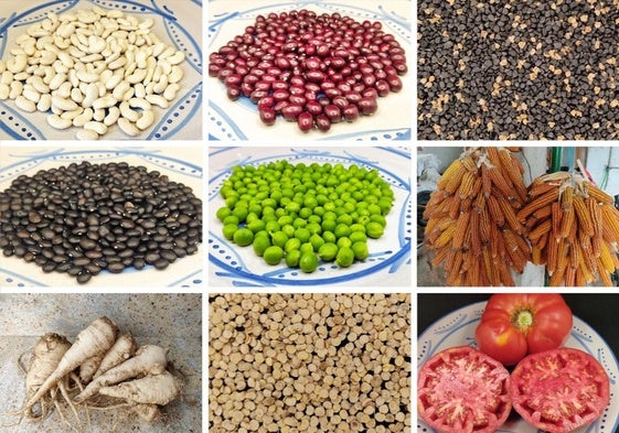 Un patrimonio alimentario a partir de 41 variedades tradicionales