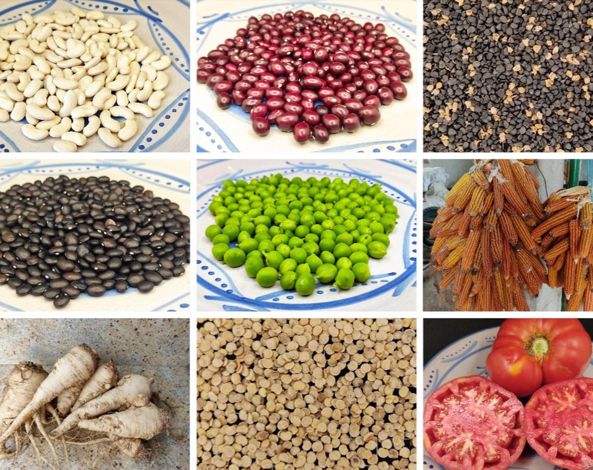 Un patrimonio alimentario a partir de 41 variedades tradicionales