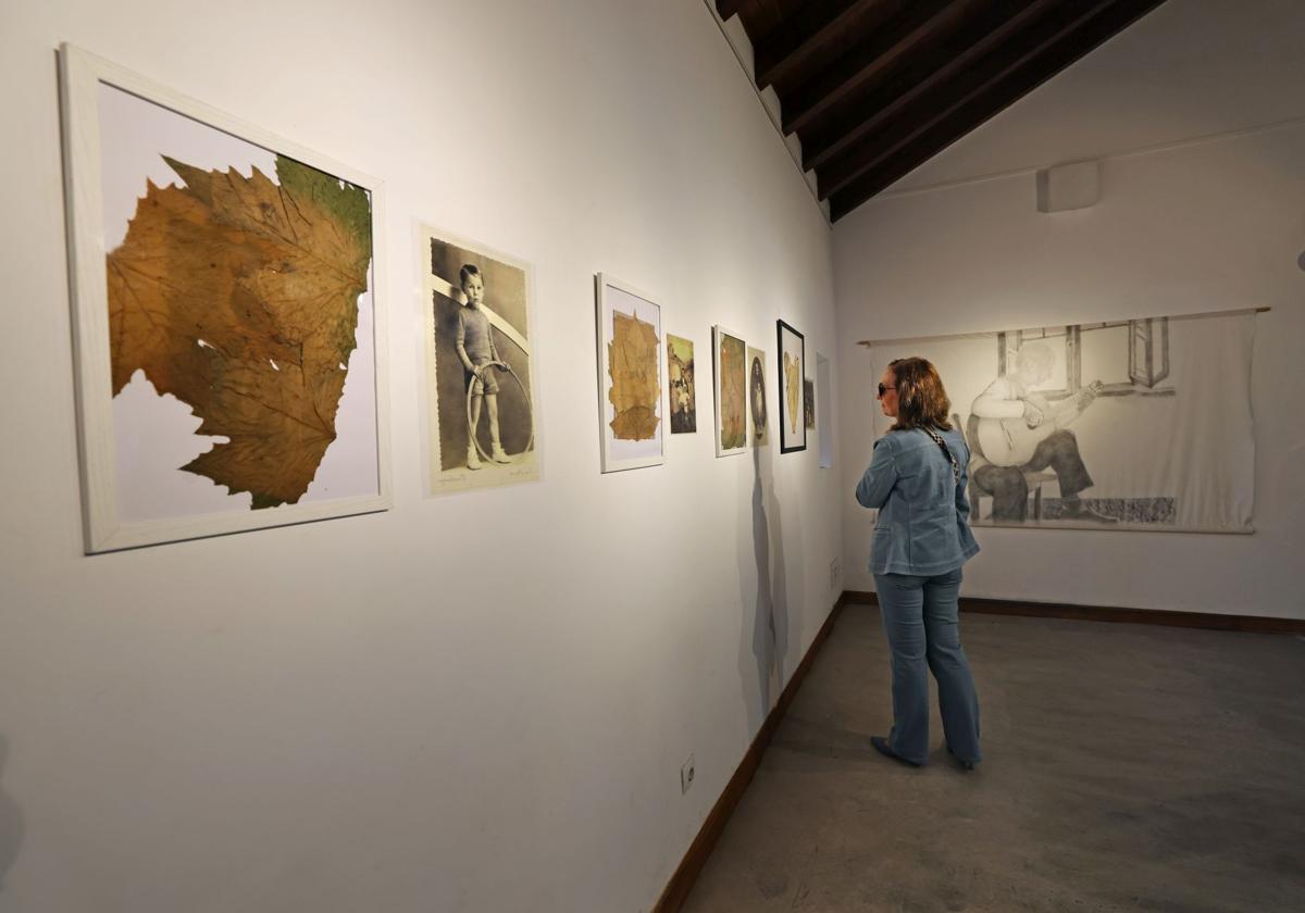 Imagen de Galeria 