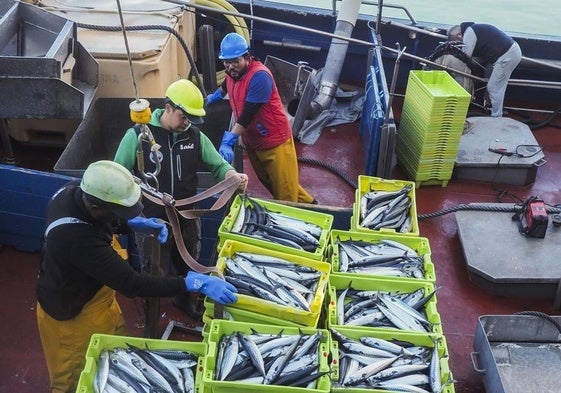 Pescadores con una carga de verdel.