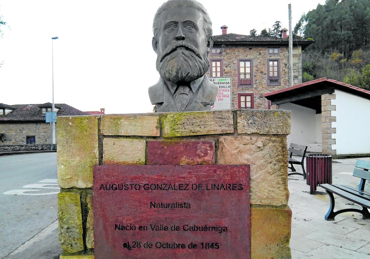 Busto en bronce de Augusto González de Linares en Valle de Cabuérniga, promovido por Amigos de la Cultura Científica, 1987-1988. Escultor: Andrés Lasanta.