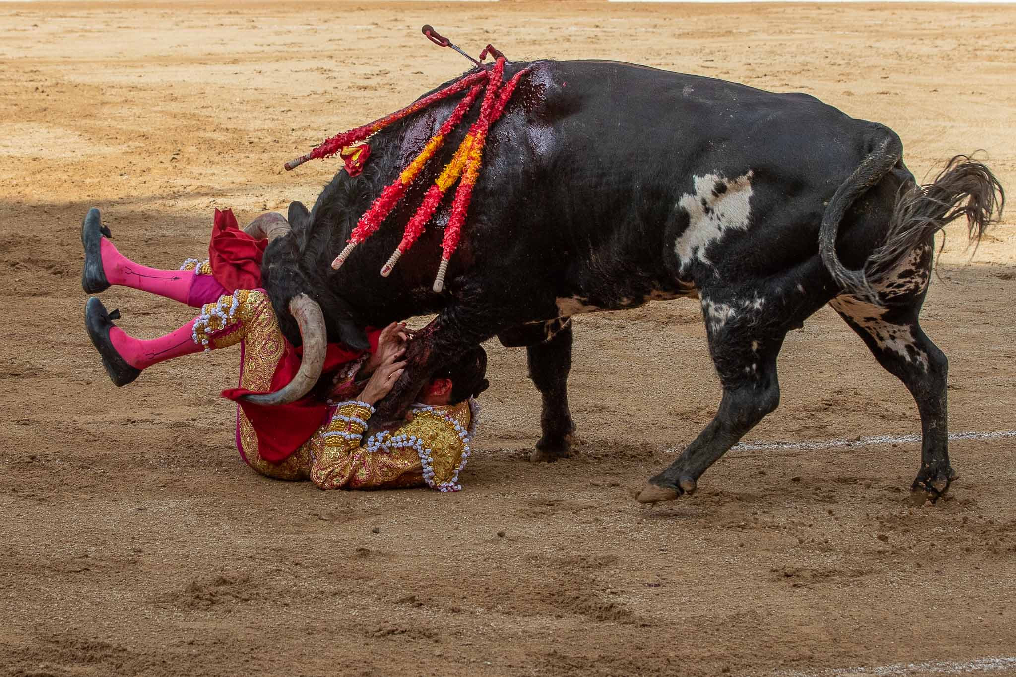 El toro pisa a Emilio de Justo y le provoca una herida de siete centímetros en la cabeza.