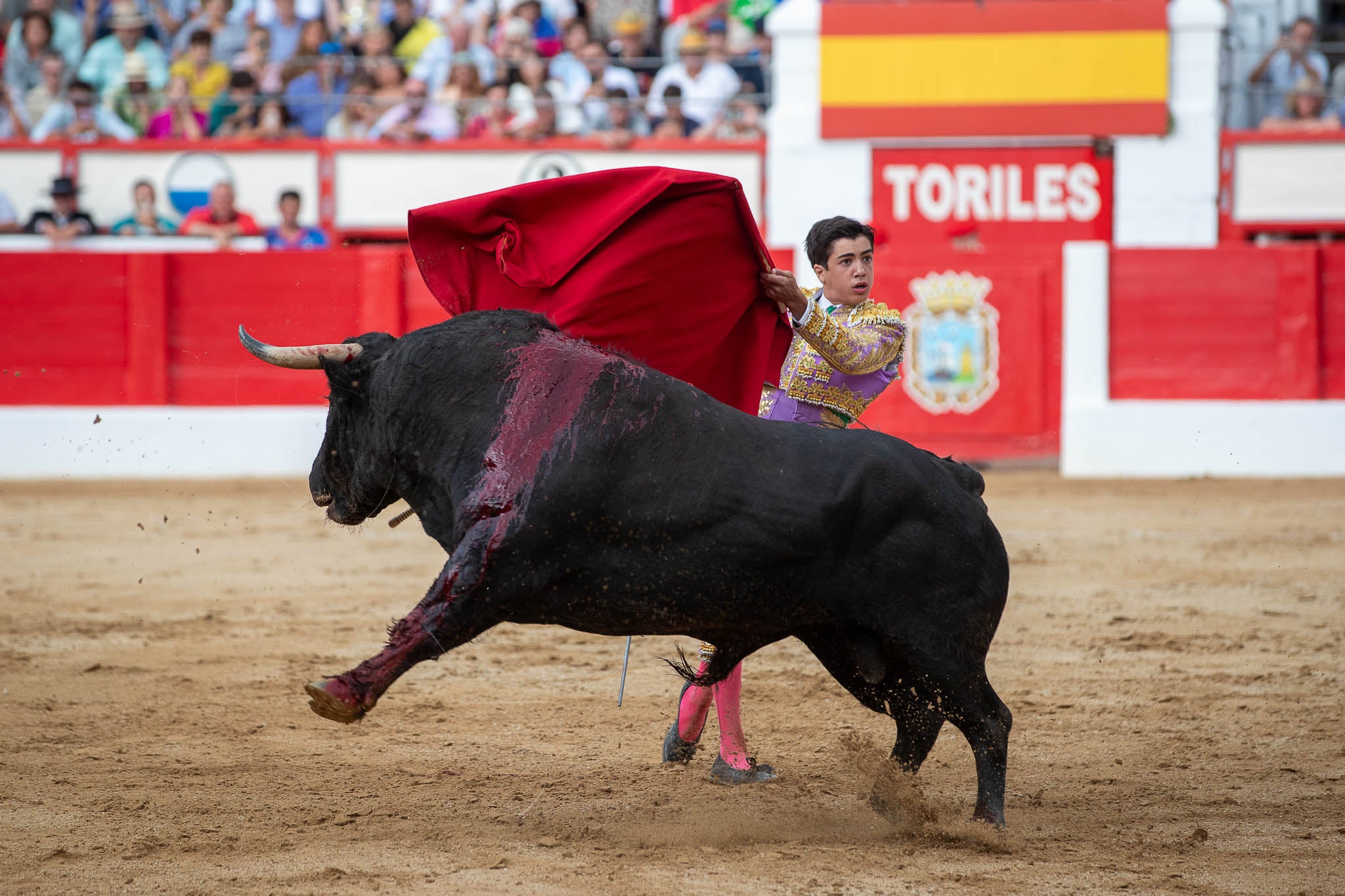Pase de pecho de Marco Pérez mirando al tendido.