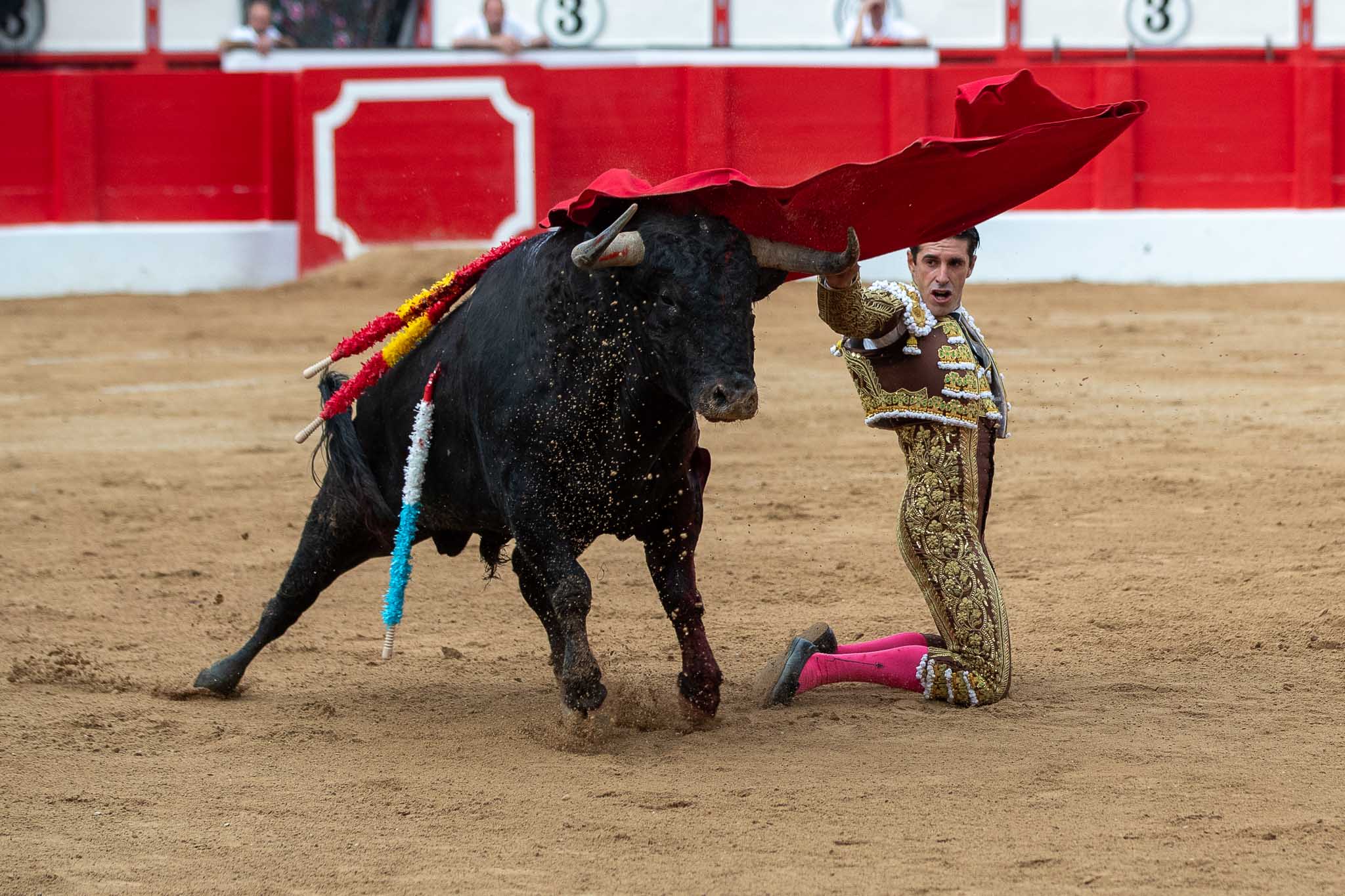 Alejandro Talavante inició la faena al cuarto de rodillas.