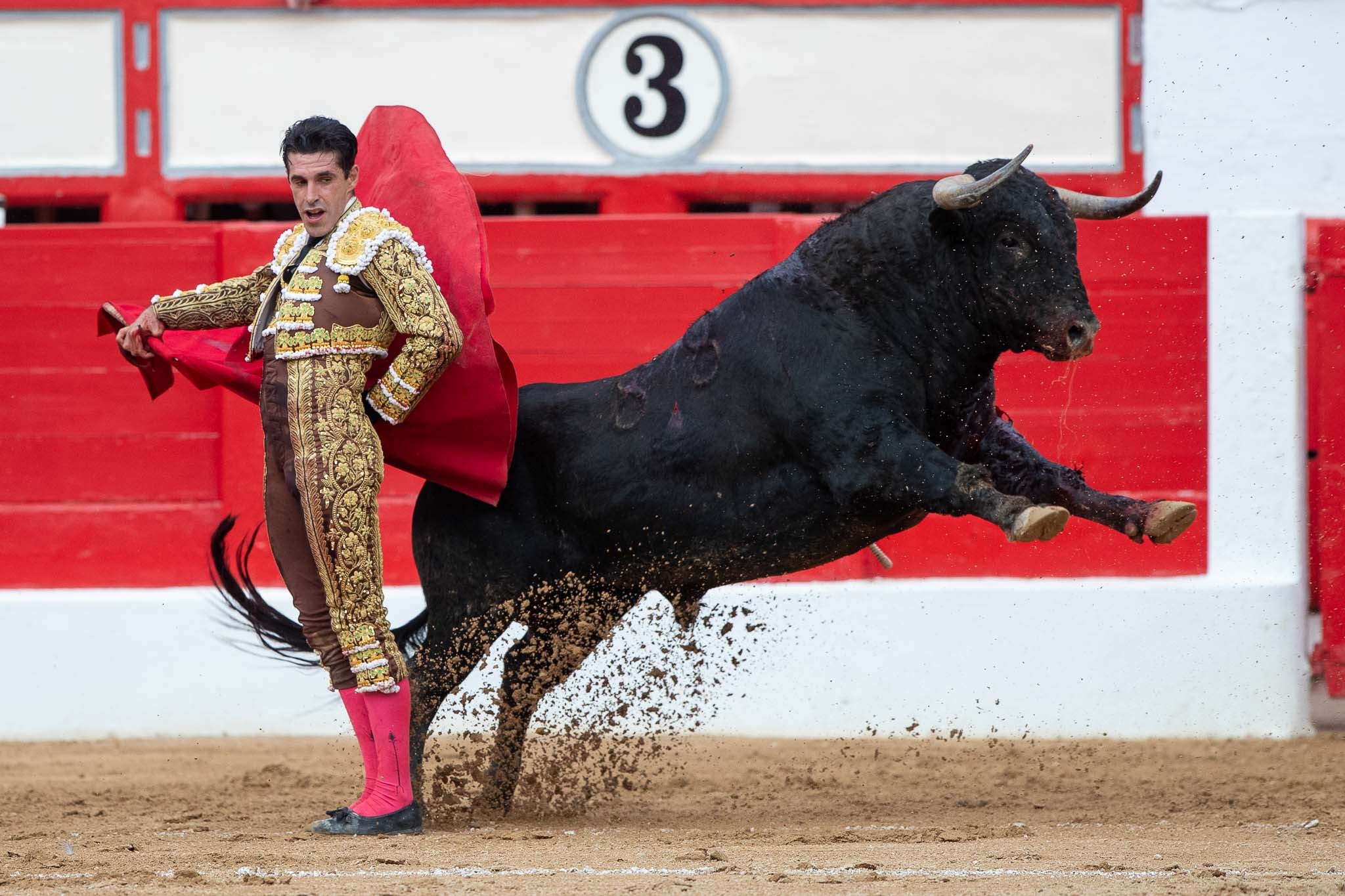 Una bernadina de Alejandro Talavante.