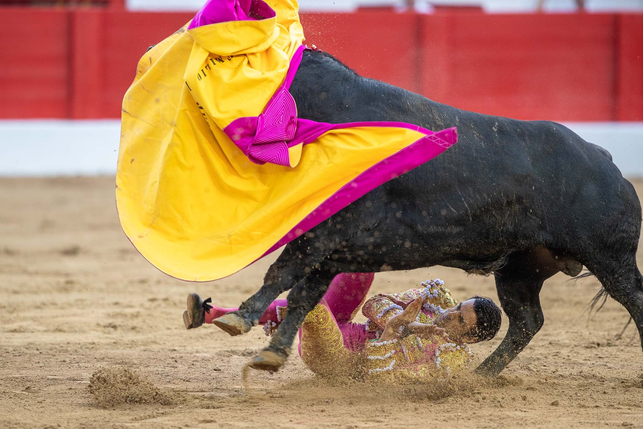 Emilio de Justo, tras ser volteado mientras galleaba por chicuelinas.