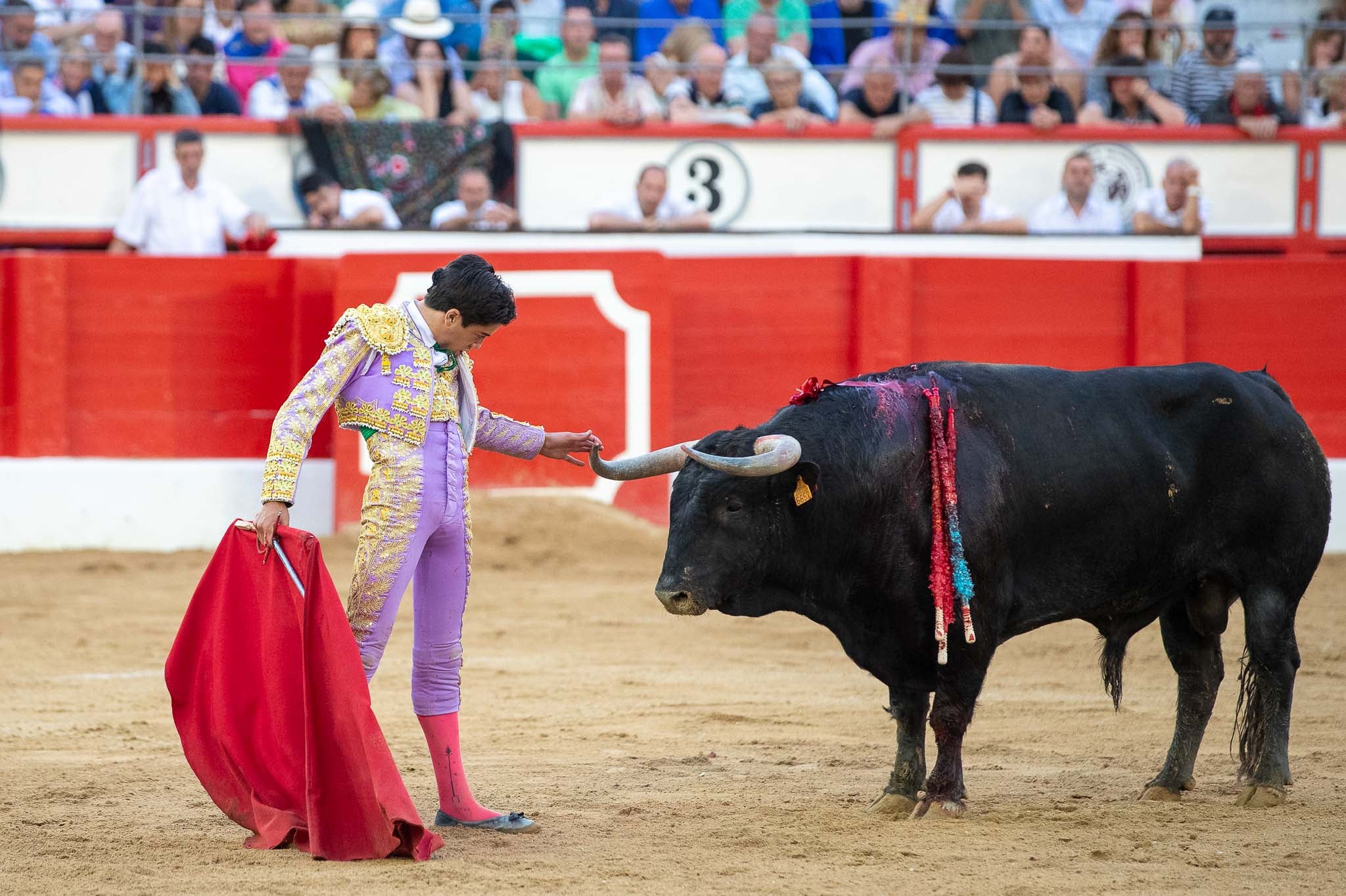 Marco Pérez toca el pitón derecho del de la Ventana del Puerto.