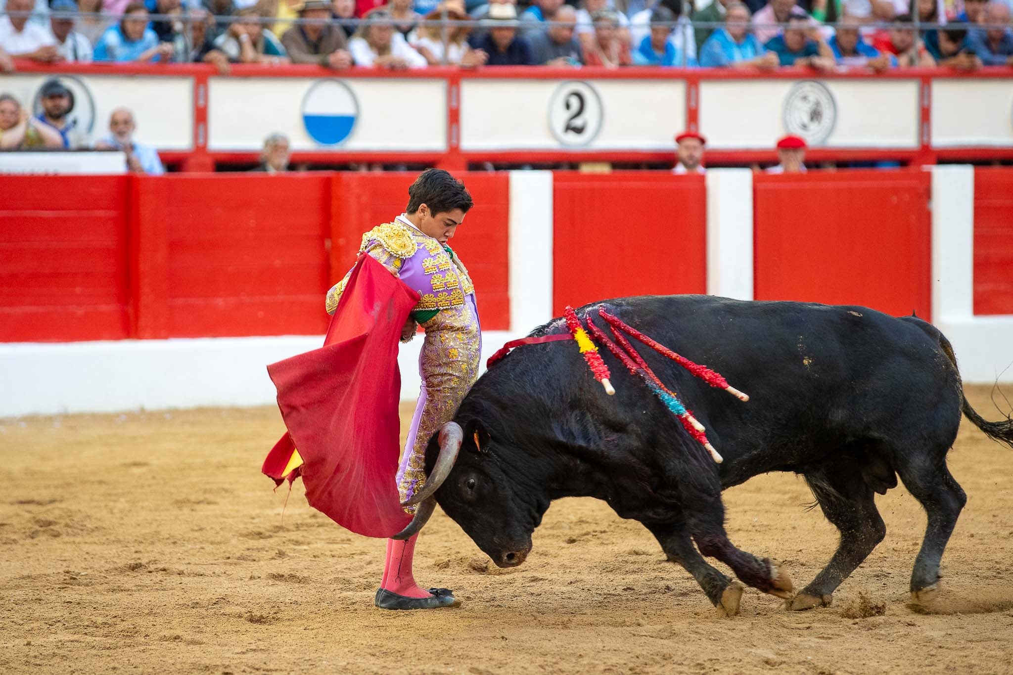 Manoletina de Marco Pérez.