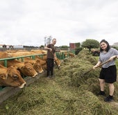 Francisco Camus, ganadero santanderino, junto a su pareja, Diana Khubulova, en Cueto, donde tienen parte de las vacas de su explotación.