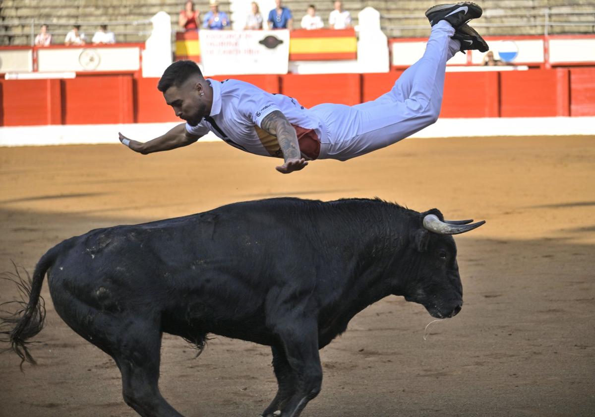 Los recortadores ofrecen espectaculares imágenes, como esta del año pasado en Santander.