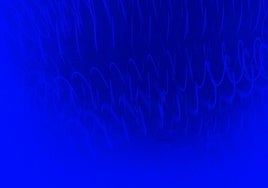 Cooking Sections, 'Waves Lost at Sea' ('Las olas perdidas'), 2025.