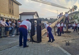 En la maya de Silió el esfuerzo del hombre es el elemento principal para ponerla en pie.