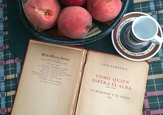 Prisioneros políticos