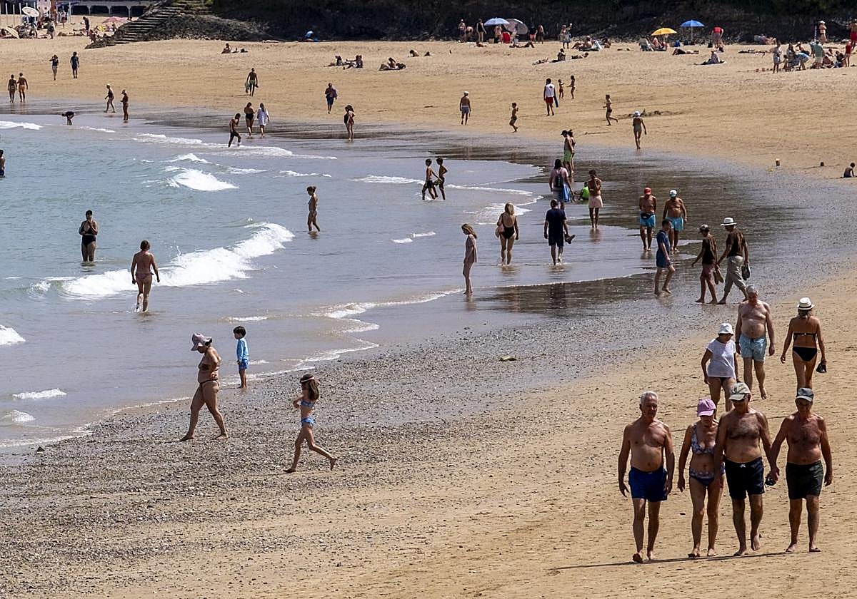 En la playa, hoy se habla de medusas