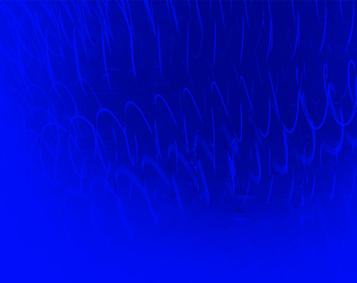 Cooking Sections, 'Waves Lost at Sea' ('Las olas perdidas'), 2025.