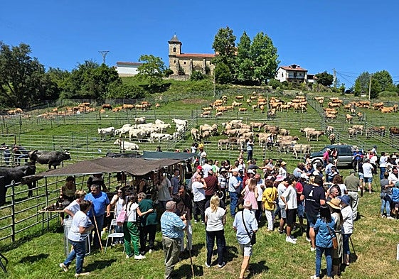 El recinto ferial de Gandarilla estuvo muy animado de ganado y público.
