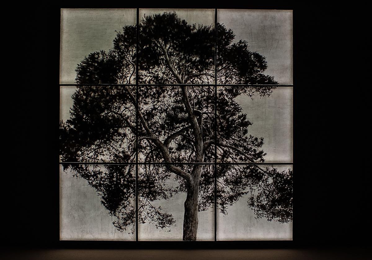 Un recorrido por la exposición