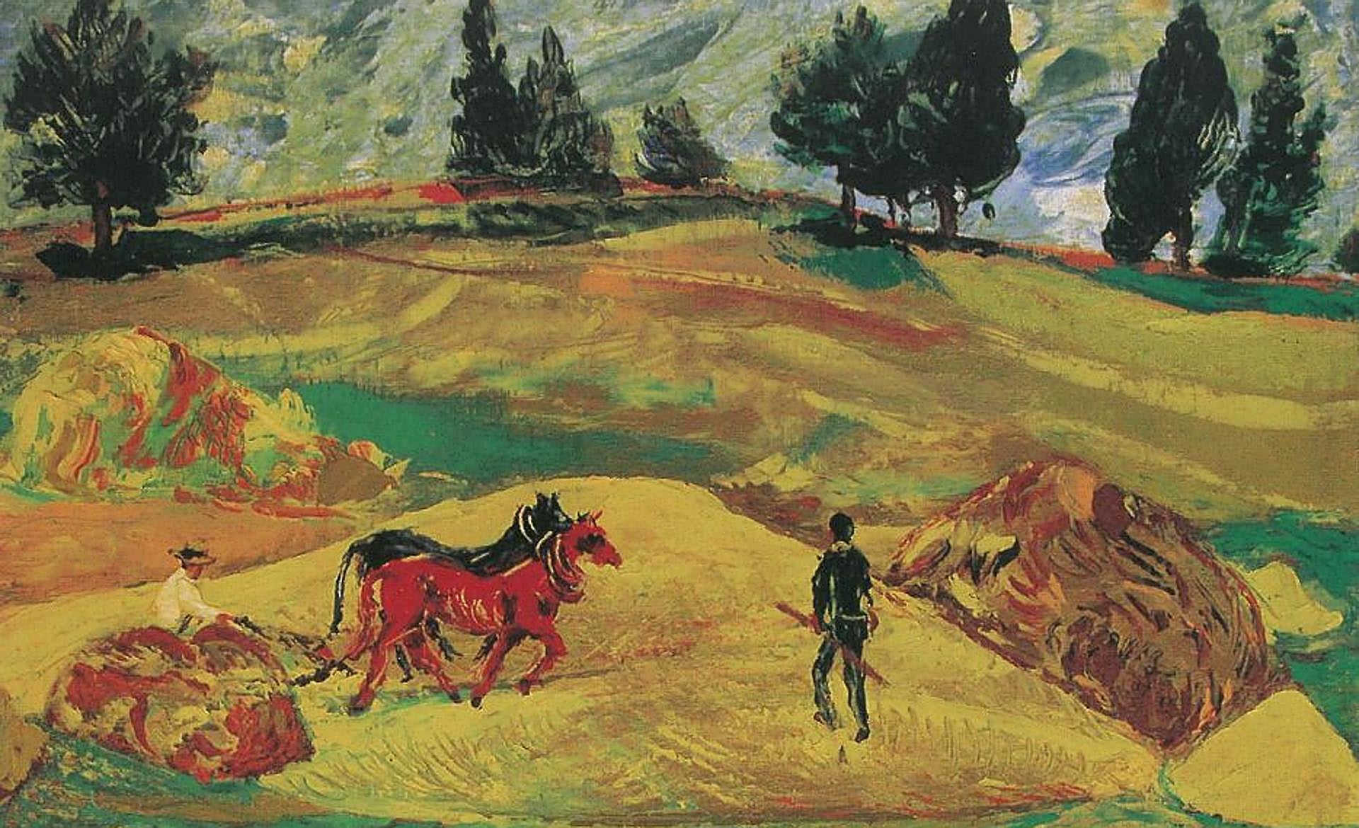 Scroll Story imagen 11