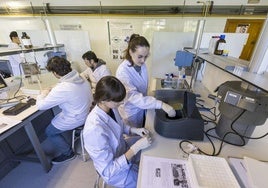 Alumnos en un laboratorio de la Universidad de Cantabria.