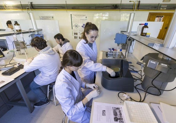 Alumnos en un laboratorio de la Universidad de Cantabria.