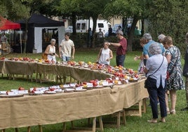 Amantes del tomate durante el festival del año pasado.