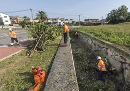 La maquinaria limpieza el arroyo de La Tejona, en La Albericia.