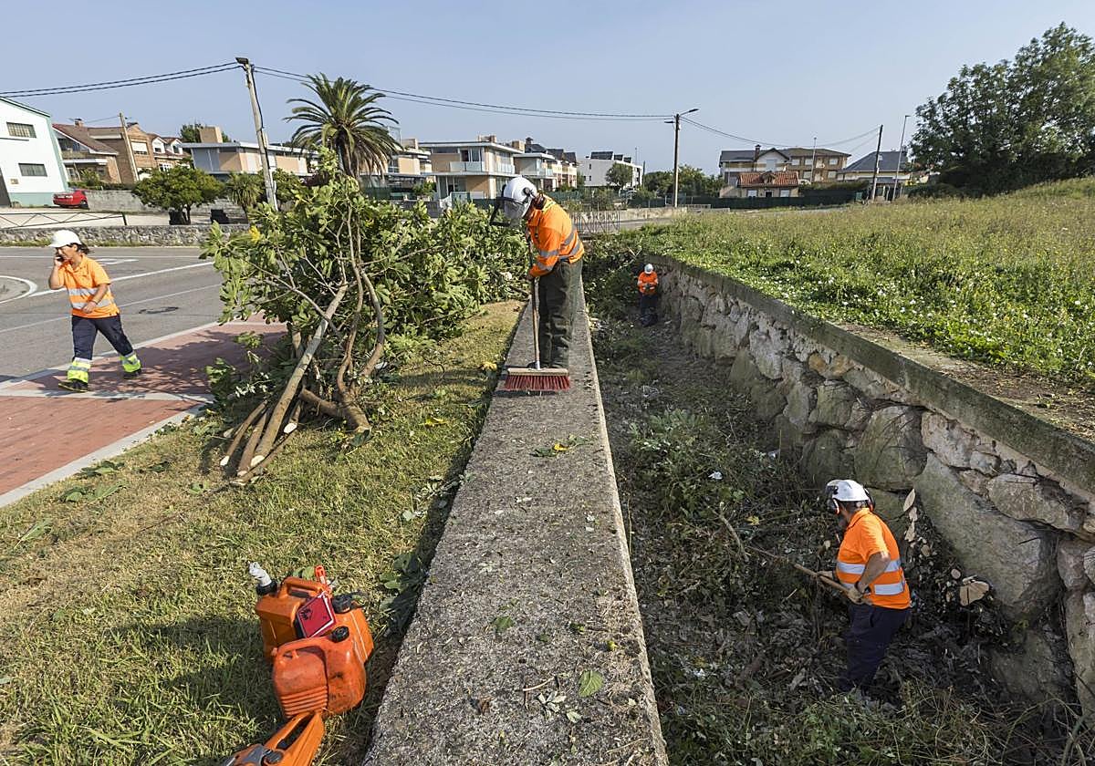 La maquinaria limpieza el arroyo de La Tejona, en La Albericia.