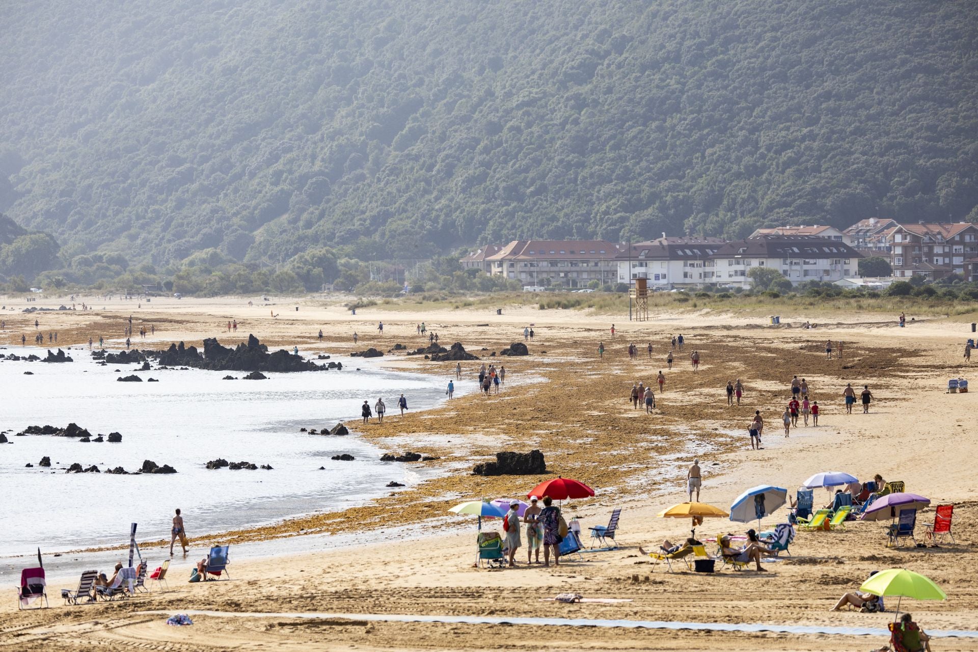 Imagen de Trengandín a primera hora . Las algas son retitradas pero la marea vuelve a arrastrarlas.