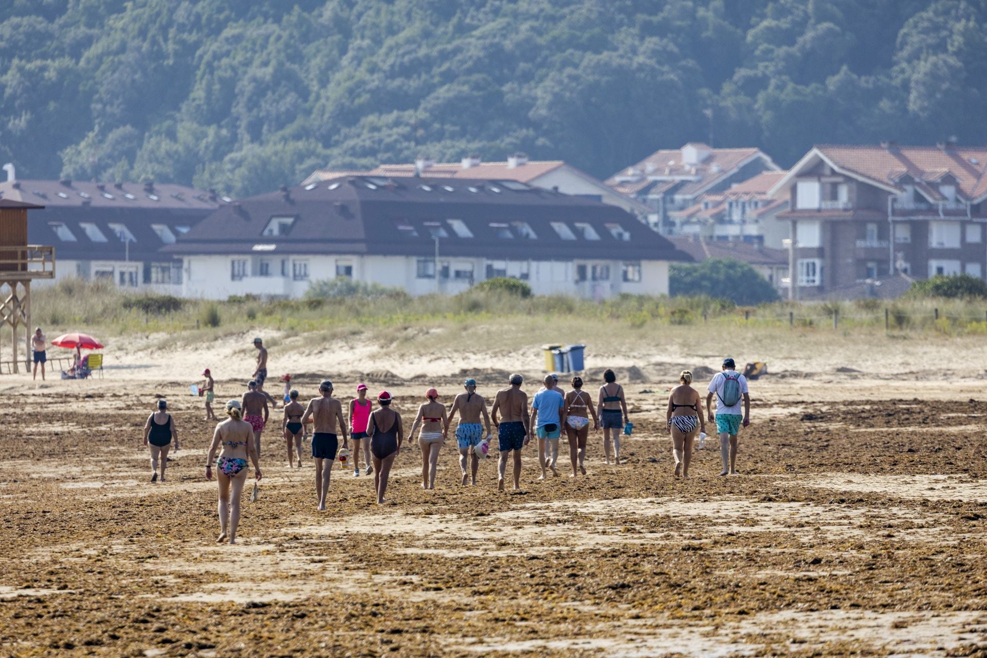 Trengandín este lunes por la mañana. La noche anterior se limpió, pero la marea arrastró de nuevo más algas.