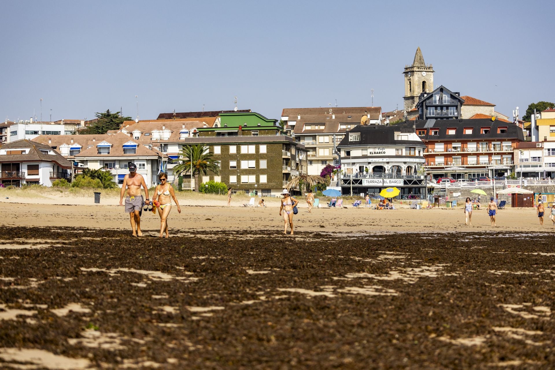 Todas estas algas son llevadas a un depósito municipal, en terrenos del futuro campo de fútbol de Noja.