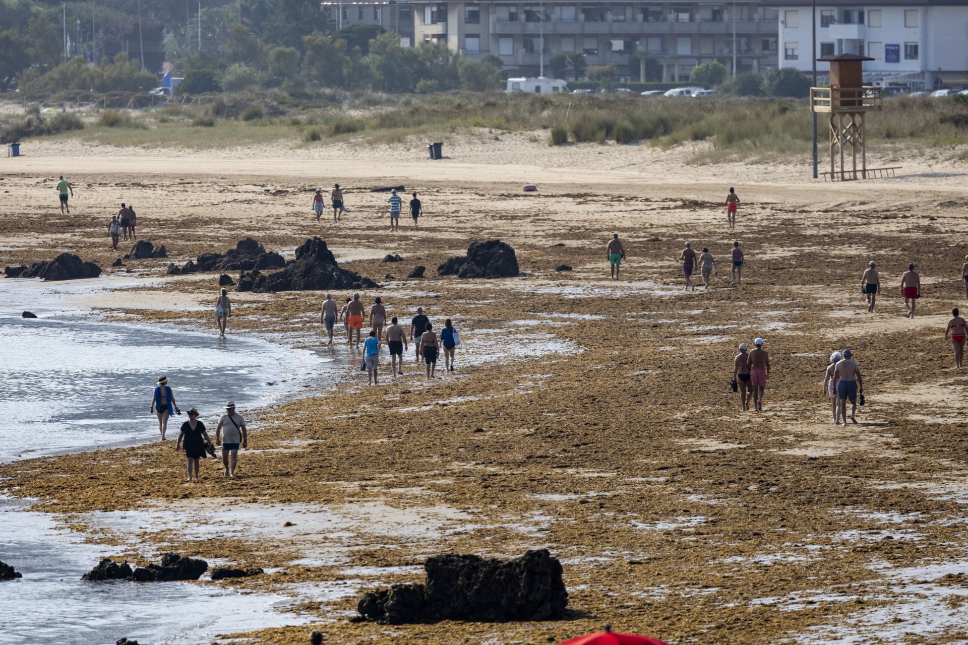 Pese a los trabajos para retirar las algas, la playa de Trengandín presentaba este aspecto durante la mañana.
